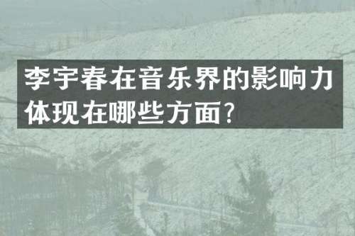李宇春在音乐界的影响力体现在哪些方面？