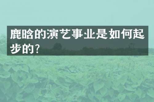 鹿晗的演艺事业是如何起步的？