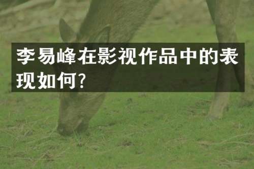 李易峰在影视作品中的表现如何？