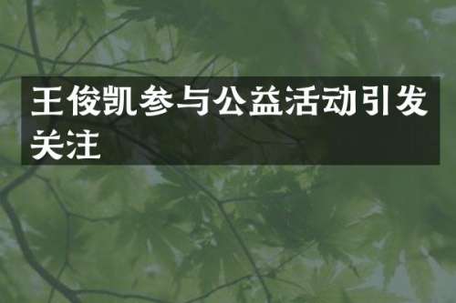 王俊凯参与公益活动引发关注