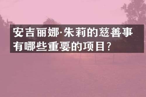 安吉丽娜·朱莉的慈善事业有哪些重要的项目？