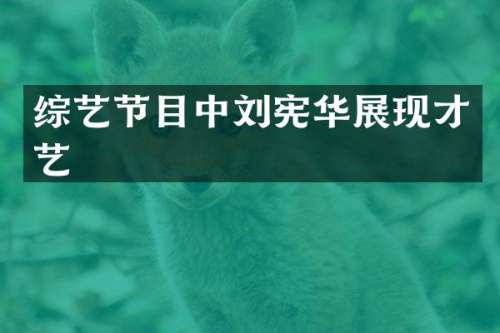 综艺节目中刘宪华展现才艺