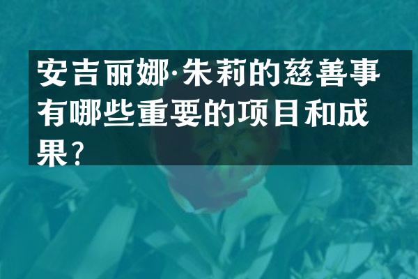 安吉丽娜·朱莉的慈善事业有哪些重要的项目和成果？