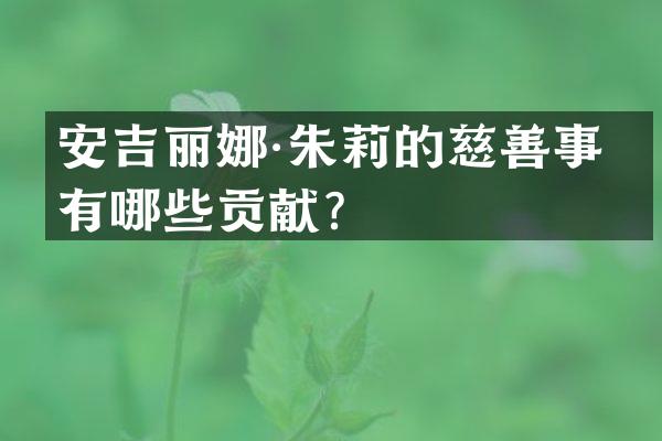 安吉丽娜·朱莉的慈善事业有哪些贡献？