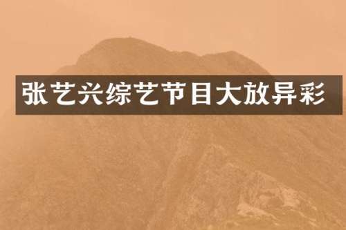 张艺兴综艺节目大放异彩
