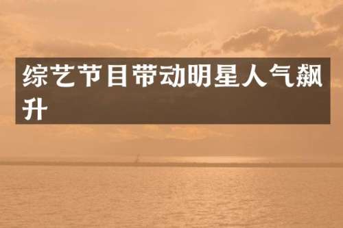 综艺节目带动明星人气飙升