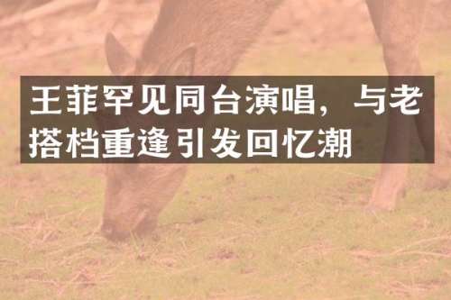 王菲罕见同台演唱，与老搭档重逢引发回忆潮