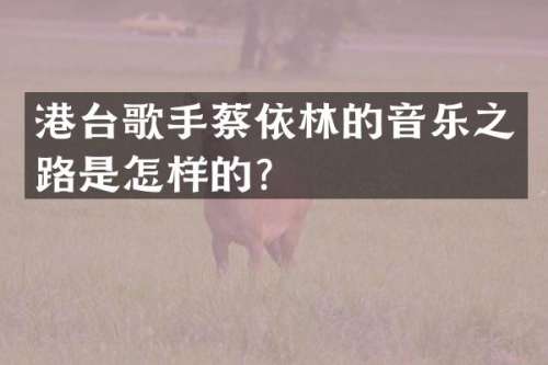 港台歌手蔡依林的音乐之路是怎样的？