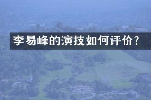 李易峰的演技如何评价？