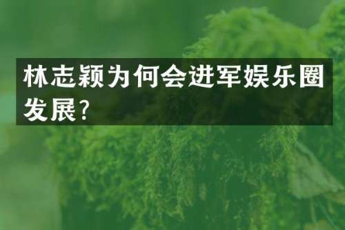 林志颖为何会进军娱乐圈发展？