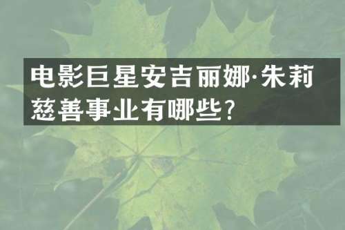 电影巨星安吉丽娜·朱莉的慈善事业有哪些？