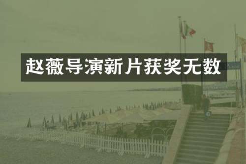 赵薇导演新片无数