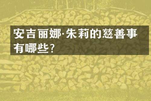 安吉丽娜·朱莉的慈善事业有哪些？