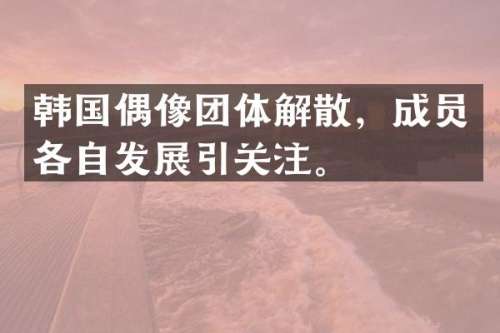 韩国偶像团体解散，成员各自发展引关注。