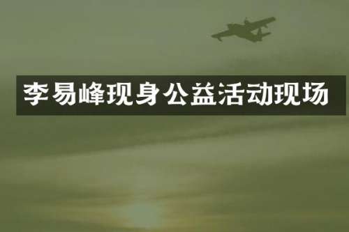 李易峰现身公益活动现场