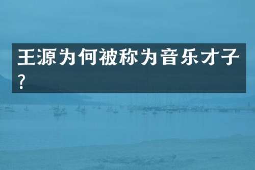 王源为何被称为音乐才子？