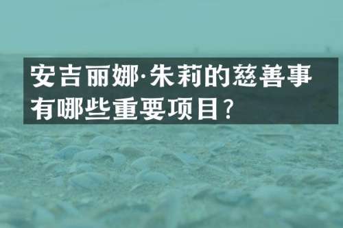 安吉丽娜·朱莉的慈善事业有哪些重要项目？
