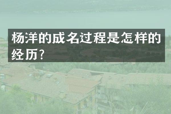 杨洋的成名过程是怎样的经历？