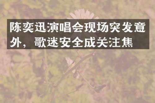 陈奕迅演唱会现场突发意外，歌迷安全成关注焦点