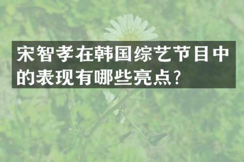 宋智孝在韩国综艺节目中的表现有哪些亮点？