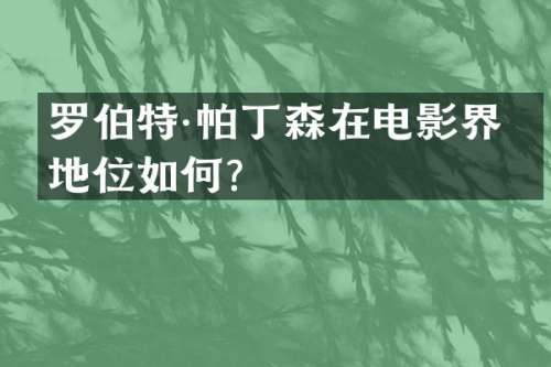 罗伯特·帕丁森在电影界的地位如何？