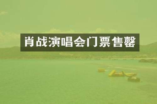 肖战演唱会门票售罄