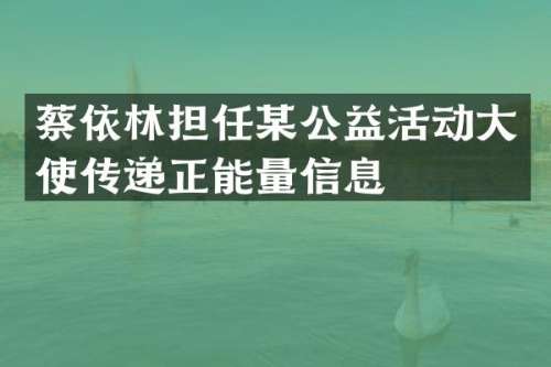 蔡依林担任某公益活动大使传递正能量信息