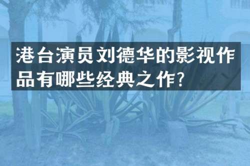 港台演员刘德华的影视作品有哪些经典之作？