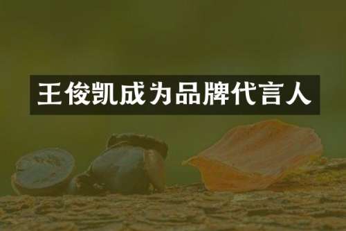 王俊凯成为品牌代言人