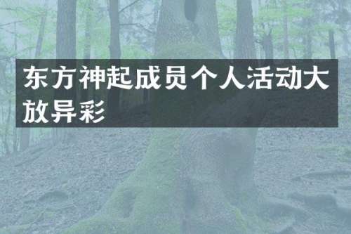东方神起成员个人活动大放异彩
