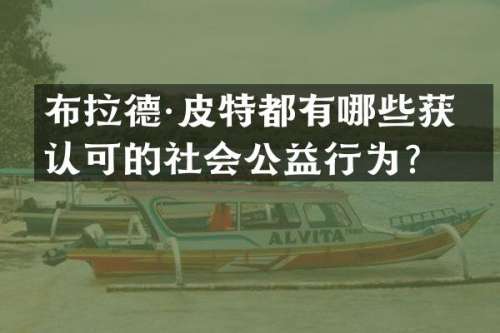 布拉德·皮特都有哪些获得认可的社会公益行为？