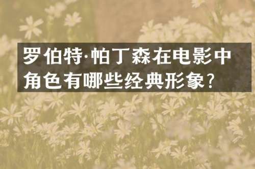 罗伯特·帕丁森在电影中的角色有哪些经典形象？