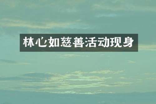 林心如慈善活动现身