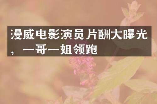 漫威电影演员片酬大曝光，一哥一姐领跑