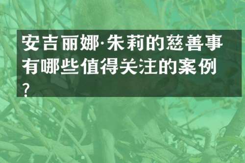 安吉丽娜·朱莉的慈善事业有哪些值得关注的案例？