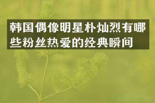 韩国偶像明星朴灿烈有哪些粉丝热爱的经典瞬间？