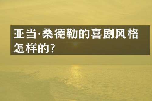 亚当·桑德勒的喜剧风格是怎样的？