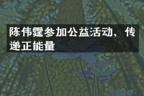 陈伟霆参加公益活动，传递正能量