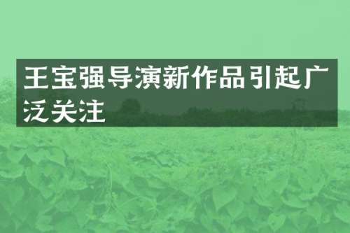 王宝强导演新作品引起广泛关注