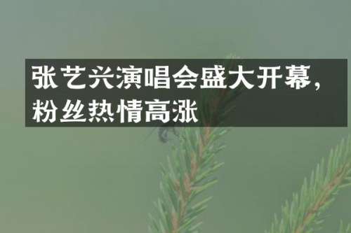 张艺兴演唱会盛大开幕，粉丝热情高涨