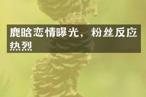 鹿晗恋情曝光，粉丝反应热烈