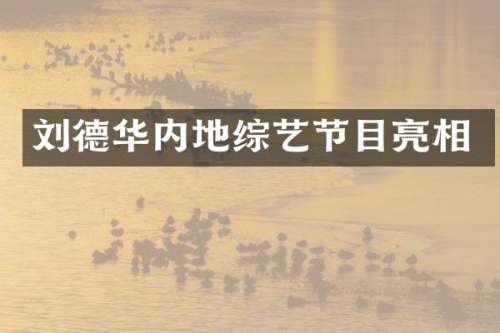 刘德华内地综艺节目亮相