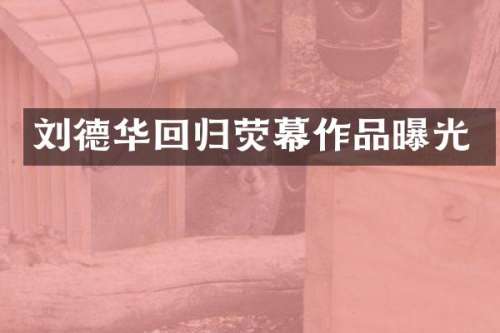 刘德华回归荧幕作品曝光