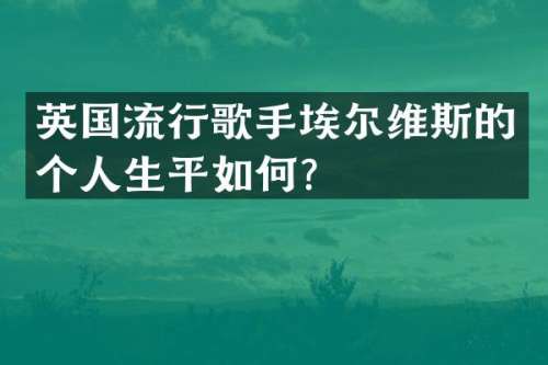 英国流行歌手埃尔维斯的个人生平如何？