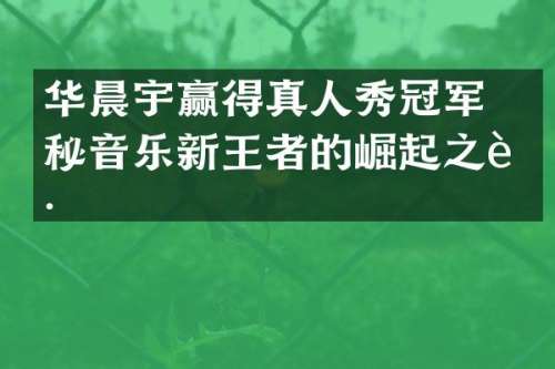 华晨宇赢得真人秀冠军 揭秘音乐新王者的崛起之路