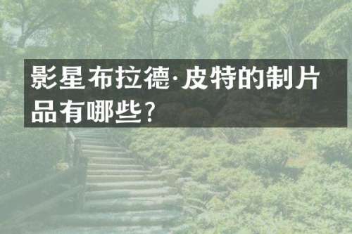 影星布拉德·皮特的制片作品有哪些？
