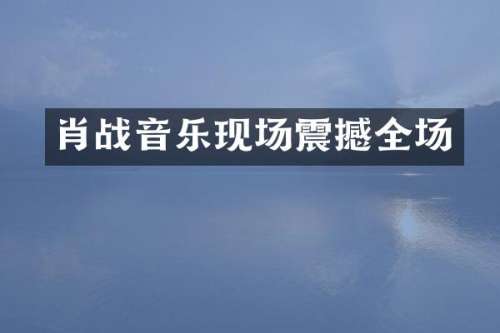 肖战音乐现场震撼全场