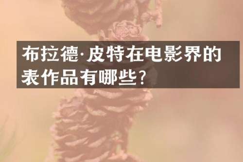 布拉德·皮特在电影界的代表作品有哪些？