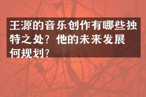王源的音乐创作有哪些独特之处？他的未来发展如何规划？