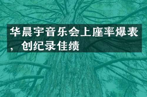 华晨宇音乐会上座率爆表，创纪录佳绩